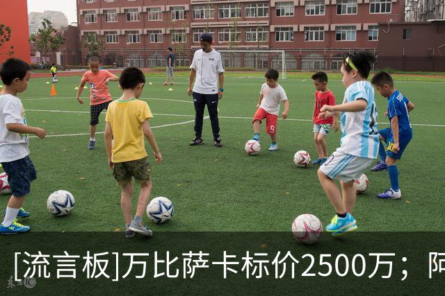 [流言板]万比萨卡标价2500万；阿雷奥拉被放弃；尤文马赛有意托迪博